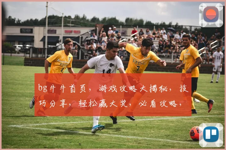 bg牛牛首页，游戏攻略大揭秘，技巧分享，轻松赢大奖，必看攻略，让您玩转牛牛世界