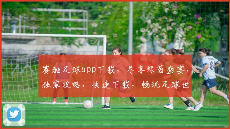 赛酷足球app下载，尽享绿茵盛宴，独家攻略，快速下载，畅玩足球世界，必看