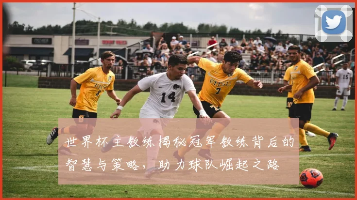 世界杯主教练揭秘冠军教练背后的智慧与策略，助力球队崛起之路